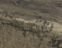 Краска цвет болотный дуб коллекция Amaro объём 100мл (код: Т-205-100)
